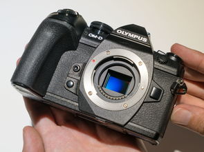 奥林巴斯E M1 Mark II 无反相机数码相机产品图片6素材